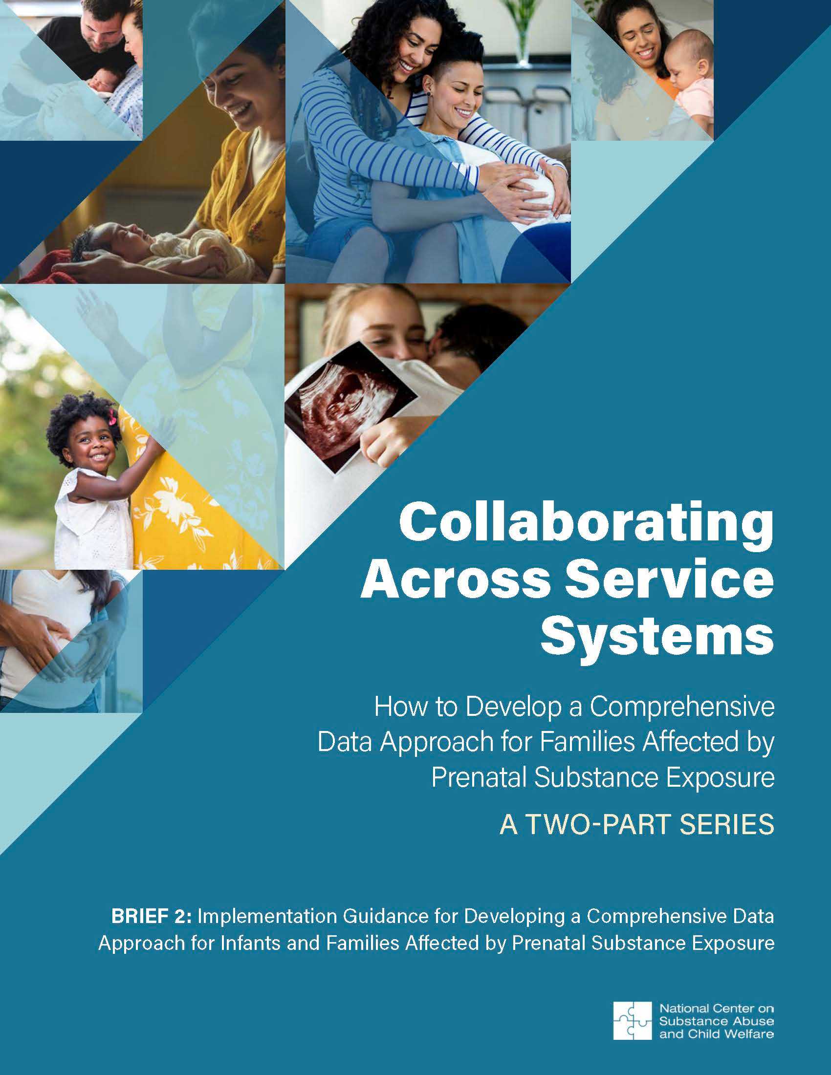 Brief 2: Implementation Guidance for Developing a Comprehensive Data Approach for Infants and Families Affected by Prenatal Substance Exposure