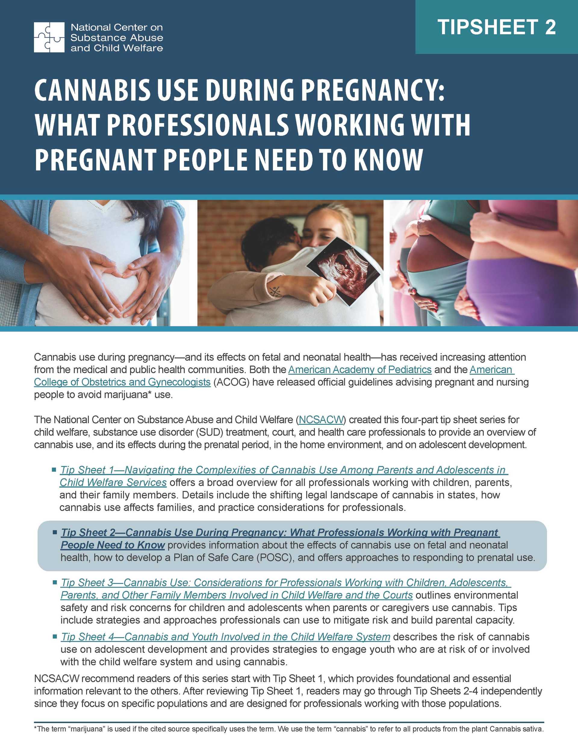 Tip Sheet 2: Cannabis Use During Pregnancy: What Professionals Working with Pregnant People Need to Know