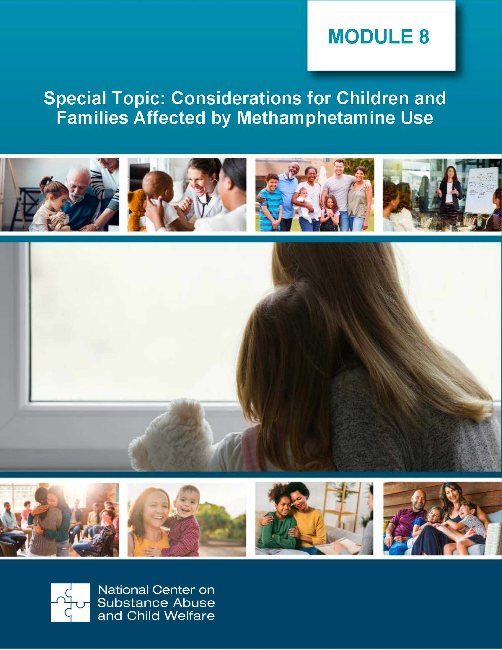 Special Topic – Considerations for Families in the Child Welfare System Affected by Methamphetamine