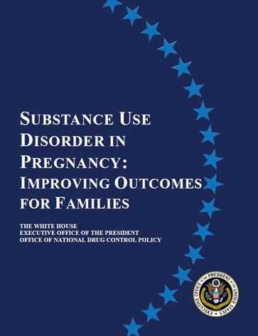 Substance Use Disorder in Pregnancy: Improving Outcomes for Families